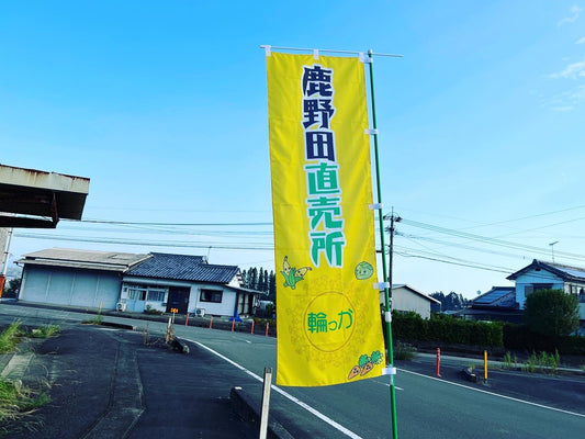 宮崎県西都市の直売所で販売開始しました!