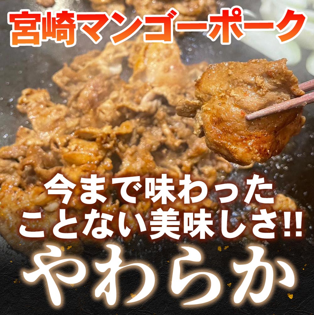 魔法のマンゴーポーク9Pセット【1.8 kg】送料無料