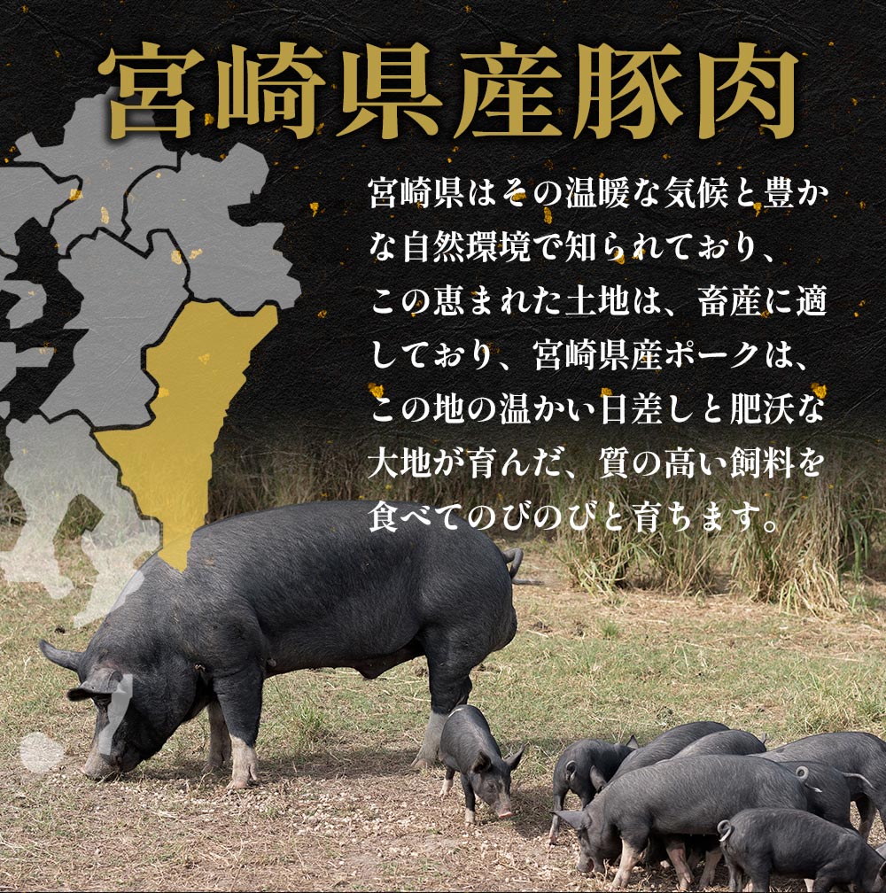 ④≪ブラックフライデー20%OFF≫魔法のマンゴーポーク600g 【200g×3】 おつまみ キャンプ バーベキュー 焼肉 大容量 焼肉のたれ 父の日 贈答品 お中元 お歳暮 お取り寄せグルメ 宮崎 マンゴー YouTuber キャンプ キャンプギア