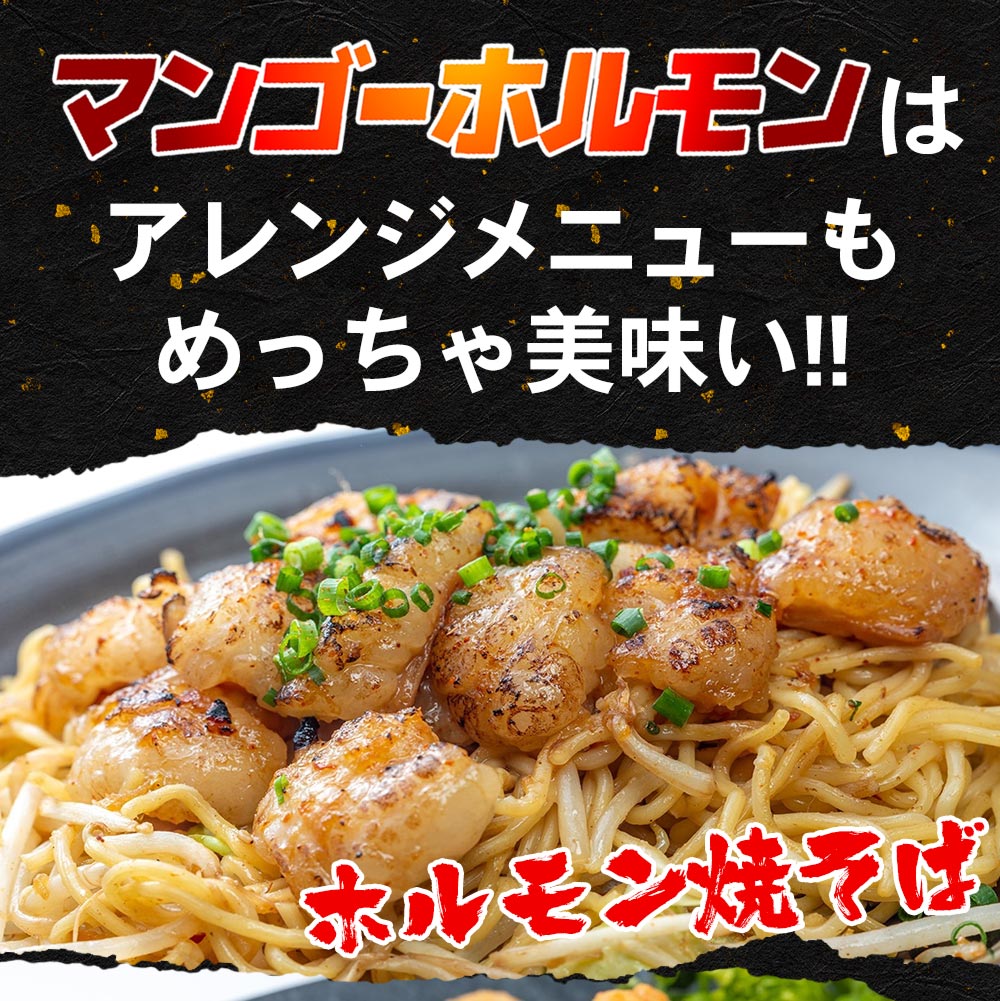 魔法のマンゴーホルモン 9Pセット【1,8kg】送料無料