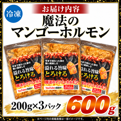 【累計30万食突破】魔法のマンゴーホルモン 6人前(200g× 3) 宮崎名物 焼肉 BBQ