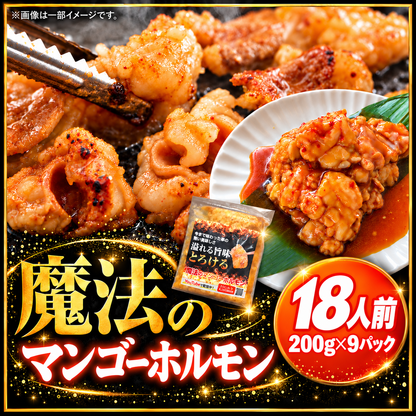 【送料無料】魔法のマンゴーホルモン 18人前(200g×9) 大容量セット 焼肉 BBQ おつまみ用 家族向けまとめ買い