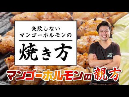 魔法のマンゴーホルモン 6Pセット【1,2kg】送料無料